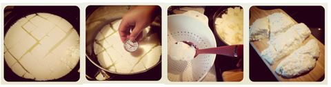 Lotsa Motsa Kit - Makes 30 Batches of Fresh Mozzarella and Ricotta